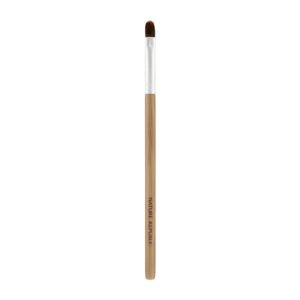 Beauty Tool Lip and Concealer Brush